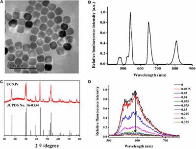 Aptamer Functionalized Upconversion Nanotheranostic Agent With Nuclear Targeting as the Highly Localized Drug-Delivery System of Doxorubicin